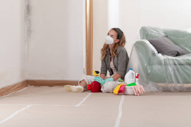 Reliable Mold Remediation contractor in Greenvale, NY by WQB Mold Removal